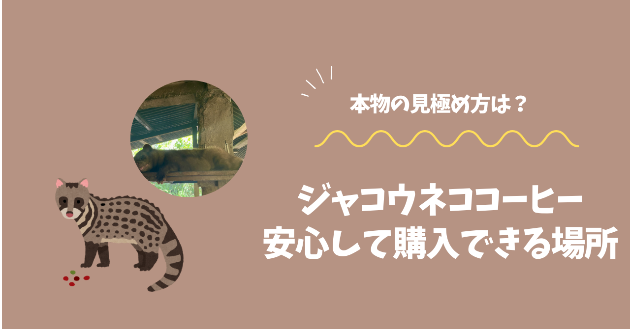 ジャコウネココーヒー どこで売っ てる